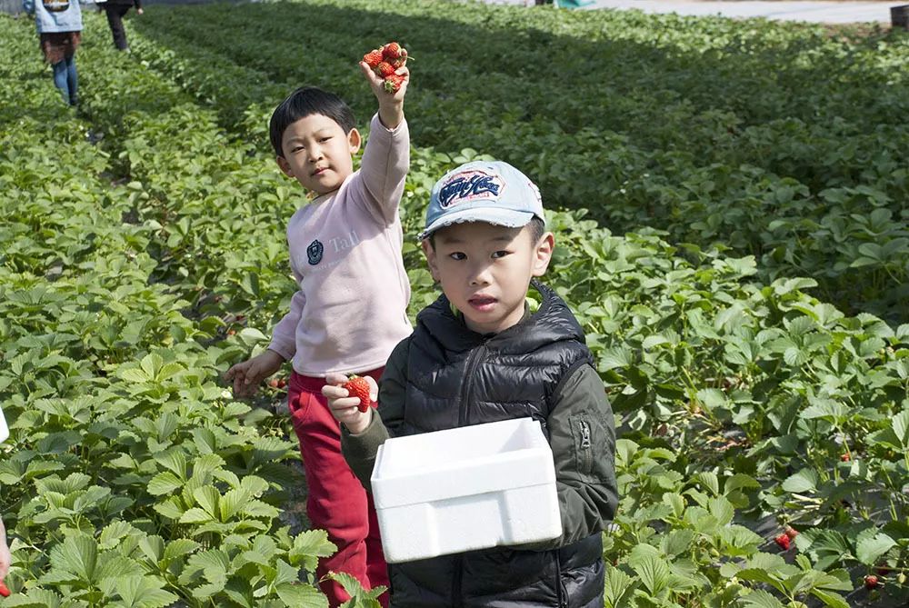 微信图片_20200304141538.jpg 微信图片_20200304141538.jpg