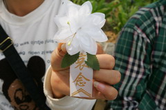 必发集团app下载装置(中国游)官网