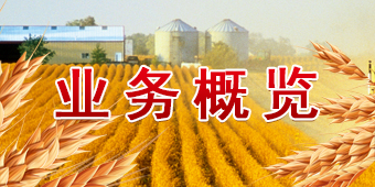 必发集团app下载装置(中国游)官网