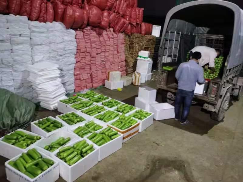 必发集团app下载装置(中国游)官网