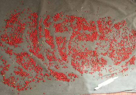 必发集团app下载装置(中国游)官网